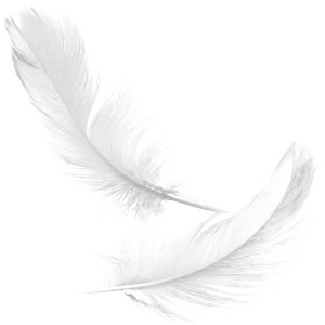 White Feather V4 Vinyl Car Decal Sticker – Waterproof & UV-Resistant 6.826666666666667"