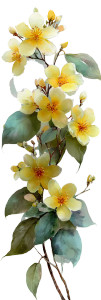 Yellow Vanilla Flowers Vinyl Car Decal Sticker – Waterproof & UV-Resistant 6.346666666666667"