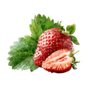 Ripe Strawberry Illustration Vinyl Car Decal Sticker – Waterproof & UV-Resistant 6.826666666666667" Ripe Strawberry Illustration Vinyl Car Decal Sticker – Waterproof & UV-Resistant 6.826666666666667"