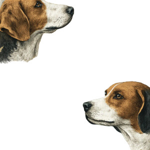Hunting Dogs Illustration Vinyl Car Decal Sticker – Waterproof & UV-Resistant 3.4133333333333336"