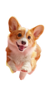 Flying Corgi Bananas Vinyl Car Decal Sticker – Waterproof & UV-Resistant 4.8533333333333335" Flying Corgi Bananas Vinyl Car Decal Sticker – Waterproof & UV-Resistant 4.8533333333333335"