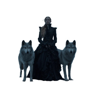Witch With Wolves Vinyl Car Decal Sticker – Waterproof & UV-Resistant 3.4133333333333336"