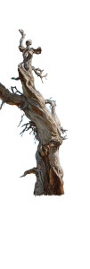 Ancient Juniper Tree Vinyl Car Decal Sticker – Waterproof & UV-Resistant 6.346666666666667" Ancient Juniper Tree Vinyl Car Decal Sticker – Waterproof & UV-Resistant 6.346666666666667"