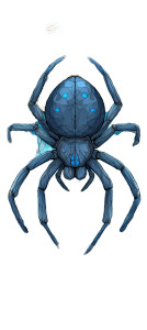 Blue-Eyed Spider Vinyl Car Decal Sticker – Waterproof & UV-Resistant 5.493333333333333"