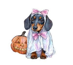 Ghost Dachshund Art Vinyl Car Decal Sticker – Waterproof & UV-Resistant 6.826666666666667"