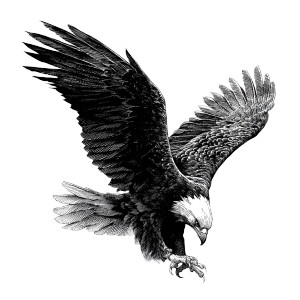 Diving Eagle Tattoo Vinyl Car Decal Sticker – Waterproof & UV-Resistant 3.4133333333333336" Diving Eagle Tattoo Vinyl Car Decal Sticker – Waterproof & UV-Resistant 3.4133333333333336"