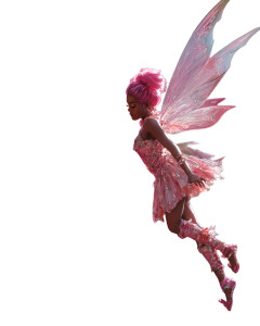 Pink Fairy Flight Vinyl Car Decal Sticker – Waterproof & UV-Resistant 4.0" Pink Fairy Flight Vinyl Car Decal Sticker – Waterproof & UV-Resistant 4.0"