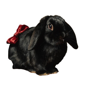 Victorian Rabbit Portrait V2 Vinyl Car Decal Sticker – Waterproof & UV-Resistant 6.826666666666667"