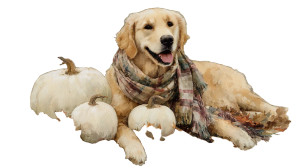 Golden Retriever Autumn Vinyl Car Decal Sticker – Waterproof & UV-Resistant 2.72" Golden Retriever Autumn Vinyl Car Decal Sticker – Waterproof & UV-Resistant 2.72"