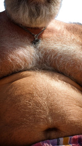 Hairy Chest Macro Vinyl Car Decal Sticker – Waterproof & UV-Resistant 9.706666666666667"