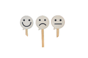Feedback Collection Scene Vinyl Car Decal Sticker – Waterproof & UV-Resistant 5.97333333333333