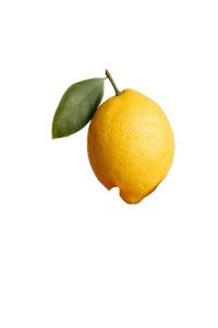 Hand Holding Lemon Vinyl Car Decal Sticker – Waterproof & UV-Resistant 8.96"