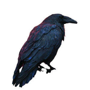 Gothic Raven Silhouette Vinyl Car Decal Sticker – Waterproof & UV-Resistant 6.826666666666667"