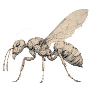 Ant Sketch Vinyl Car Decal Sticker – Waterproof & UV-Resistant 6.826666666666667"