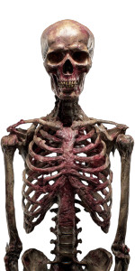 Horror Skeleton Pose Vinyl Car Decal Sticker – Waterproof & UV-Resistant 5.12"