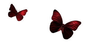 Red Butterflies Vinyl Car Decal Sticker – Waterproof & UV-Resistant 2.72"