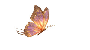 Glowing Dream Butterfly V2 Vinyl Car Decal Sticker – Waterproof & UV-Resistant 5.4