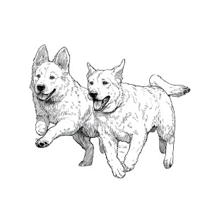 Running Dogs Vinyl Car Decal Sticker – Waterproof & UV-Resistant 6.826666666666667" Running Dogs Vinyl Car Decal Sticker – Waterproof & UV-Resistant 6.826666666666667"