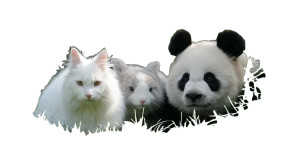 White Animals Gathering Vinyl Car Decal Sticker – Waterproof & UV-Resistant 2.72"
