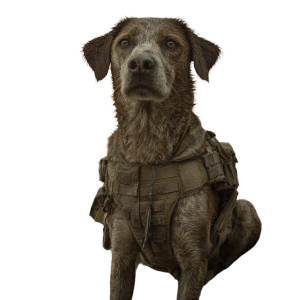 Military Dog Beach Vinyl Car Decal Sticker – Waterproof & UV-Resistant 3.4133333333333336" Military Dog Beach Vinyl Car Decal Sticker – Waterproof & UV-Resistant 3.4133333333333336"