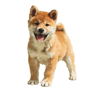 Cute Shiba Inu V23 Vinyl Car Decal Sticker – Waterproof & UV-Resistant 6.826666666666667"