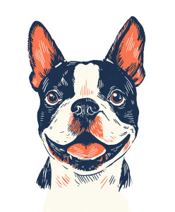 Happy Boston Terrier V4 Vinyl Car Decal Sticker – Waterproof & UV-Resistant 8.0"