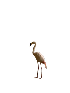 Graceful Flamingo Scene Vinyl Car Decal Sticker – Waterproof & UV-Resistant 4.213333333333333"