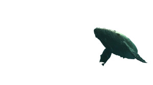 Magical Whale Scene Vinyl Car Decal Sticker – Waterproof & UV-Resistant 5.4