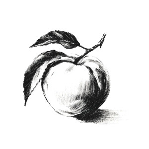 Peach Illustration Vinyl Car Decal Sticker – Waterproof & UV-Resistant 3.4133333333333336"