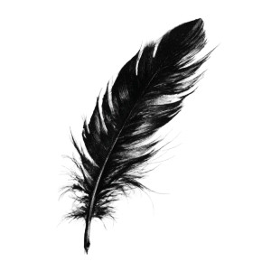 Black Feather V4 Vinyl Car Decal Sticker – Waterproof & UV-Resistant 3.4133333333333336"