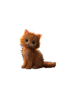 Sad Orange Kitten Vinyl Car Decal Sticker – Waterproof & UV-Resistant 8.213333333333333"