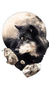 Raging Wolf Moon Vinyl Car Decal Sticker – Waterproof & UV-Resistant 9.706666666666667"