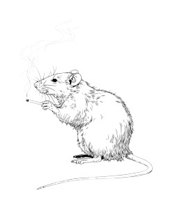 Smoking Rat Vinyl Car Decal Sticker – Waterproof & UV-Resistant 8.106666666666667"