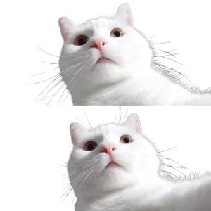 White Kitten Selfie Vinyl Car Decal Sticker – Waterproof & UV-Resistant 3.4133333333333336"