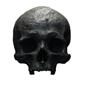 Organic Skull Photography Vinyl Car Decal Sticker – Waterproof & UV-Resistant 3.4133333333333336" Organic Skull Photography Vinyl Car Decal Sticker – Waterproof & UV-Resistant 3.4133333333333336"