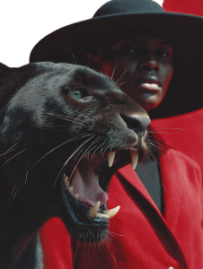 Majestic Panther Fashion Vinyl Car Decal Sticker – Waterproof & UV-Resistant 8.213333333333333" Majestic Panther Fashion Vinyl Car Decal Sticker – Waterproof & UV-Resistant 8.213333333333333"