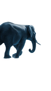 Elephant On Diving Board V2 Vinyl Car Decal Sticker – Waterproof & UV-Resistant 4.8533333333333335"