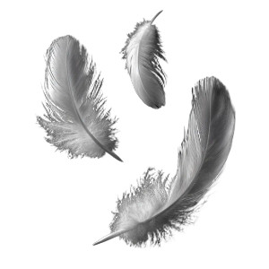Falling White Feathers V2 Vinyl Car Decal Sticker – Waterproof & UV-Resistant 6.826666666666667"