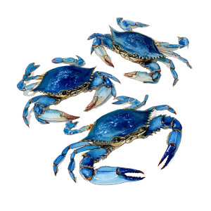 Blue Crabs Drawing Vinyl Car Decal Sticker – Waterproof & UV-Resistant 6.826666666666667"