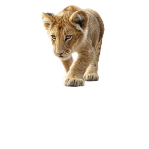 Lion Cub Reflection Vinyl Car Decal Sticker – Waterproof & UV-Resistant 3.4133333333333336"