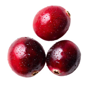 Three Cranberries Vinyl Car Decal Sticker – Waterproof & UV-Resistant 3.4133333333333336"