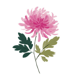 Pink Chrysanthemum Painting Vinyl Car Decal Sticker – Waterproof & UV-Resistant 3.4133333333333336"