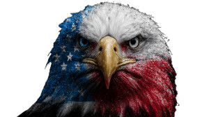Patriotic Bald Eagle V9 Vinyl Car Decal Sticker – Waterproof & UV-Resistant 2.72"