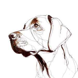 Chocolate Labrador V3 Vinyl Car Decal Sticker – Waterproof & UV-Resistant 6.826666666666667" Chocolate Labrador V3 Vinyl Car Decal Sticker – Waterproof & UV-Resistant 6.826666666666667"