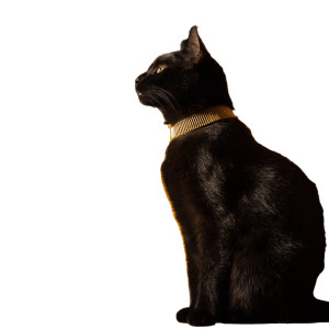 Regal Egyptian Cat V3 Vinyl Car Decal Sticker – Waterproof & UV-Resistant 3.4133333333333336"