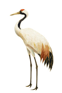 Elegant Crane Art Vinyl Car Decal Sticker – Waterproof & UV-Resistant 8.96"