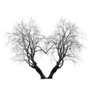 Heart Trees Vinyl Car Decal Sticker – Waterproof & UV-Resistant 3.4133333333333336"