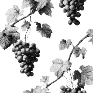 Grape Vine Engraving Vinyl Car Decal Sticker – Waterproof & UV-Resistant 3.4133333333333336"