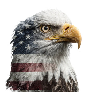 Bald Eagle Flag V6 Vinyl Car Decal Sticker – Waterproof & UV-Resistant 6.826666666666667"