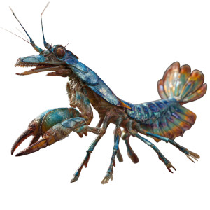 Mantis Raptor Hybrid Vinyl Car Decal Sticker – Waterproof & UV-Resistant 3.4133333333333336"